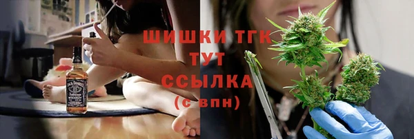 гашик Алзамай