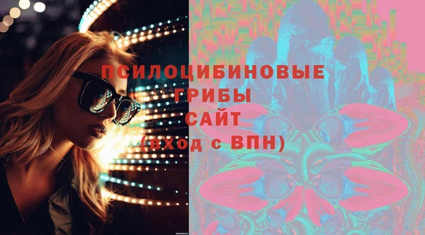 гашик Алзамай