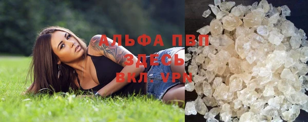 СК Алексин