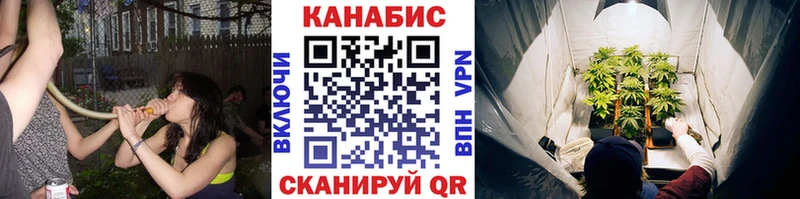 купить цена Малаховка omg tor Марихуана планчик